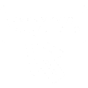 Web